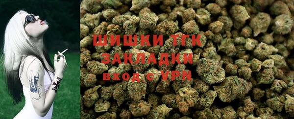 винт Няндома